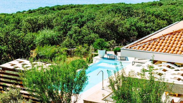 Luxury Plant Villa with Jacuzzi and Pool