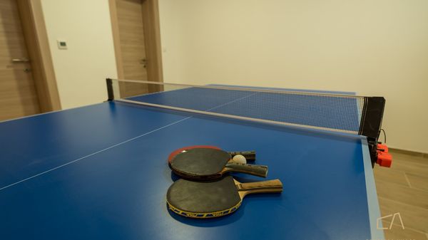 Ekskluzivan apartman Loma  1 s bazenom i vrtom na otoku Krku