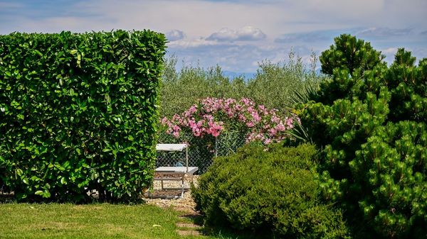 Luksuzni Apartment Balu 18 u blizini plaže