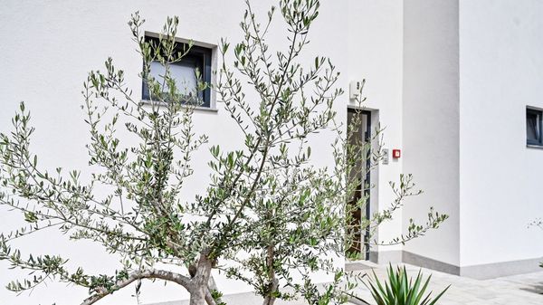 Moderan apartman Nina s pogledom na more