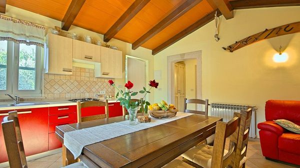 Villa Oliva - kuća sa bazenom u blizini Poreča