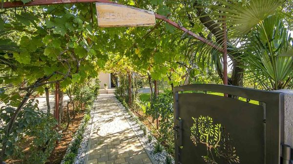 Villa Oliva - kuća sa bazenom u blizini Poreča