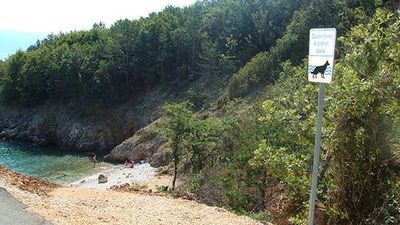 Hundefreundliche Strände auf der Insel Krk, Kvarner