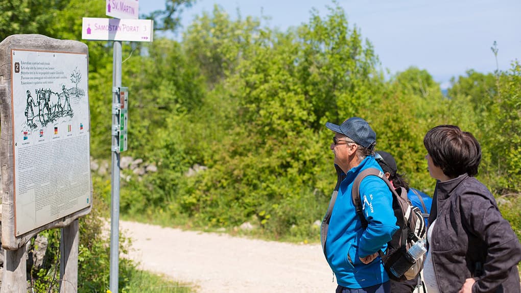 Hikers checking a marked walking trail near Porat on Krk Island during an active holiday
